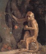 George Stubbs Monkey Spain oil painting artist
